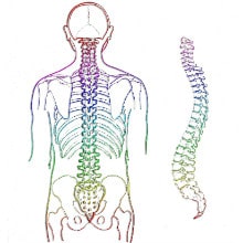 Chiropractic Treatment for Scoliosis