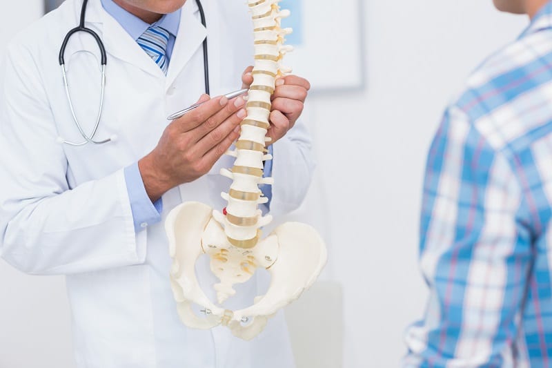 Doctor showing patient how the spine works