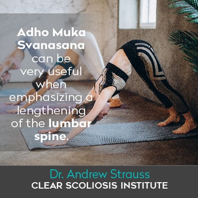 three women using Adho Muka Svanasana yoga pose