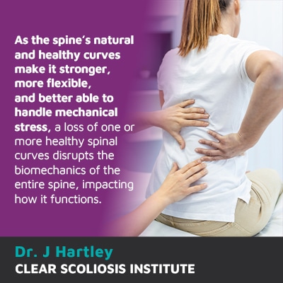 as the spine's natural healthy