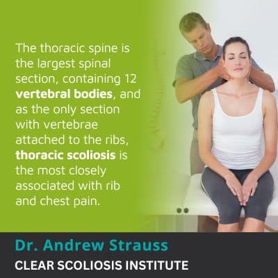 the thoracic spine is