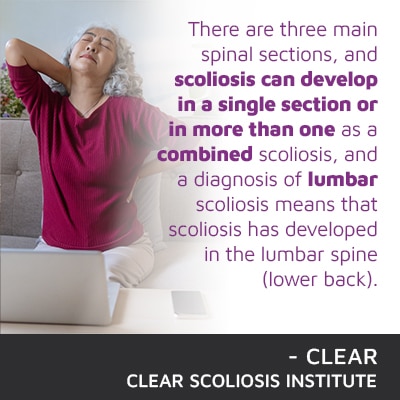 A visual representation of the quote from the text starting with “There are three main spinal"