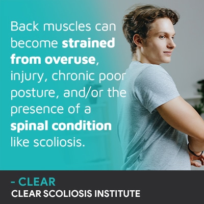 A visual representation of the quote from the text starting with “Back Muscles Can Become"