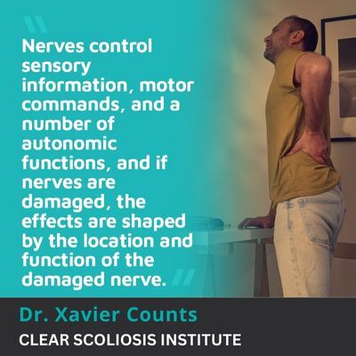 Nerves control sensory information, motor