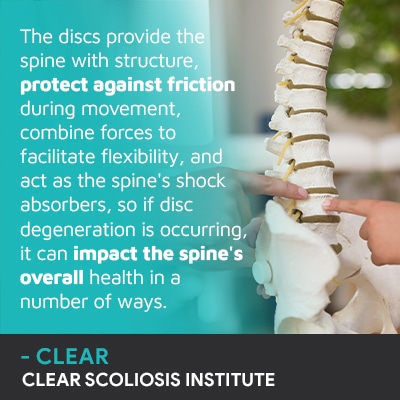 A visual representation of the quote from the text starting with “The disc provide the spine with structure"