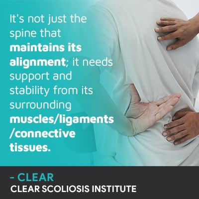 A visual representation of the quote from the text starting with “It s not just the spine that mantains"