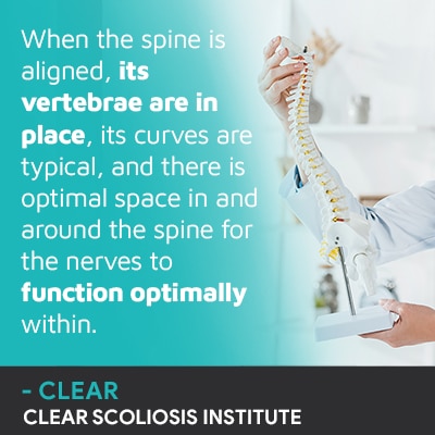 A visual representation of the quote from the text starting with “When the spine is aligned"