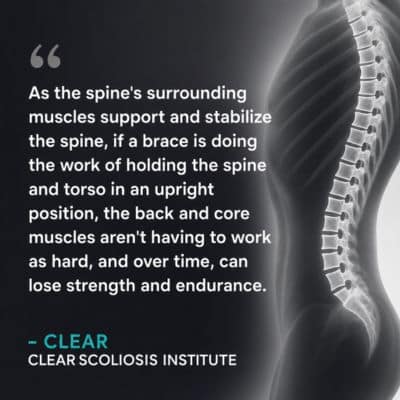 A visual representation of the quote from the text starting with “As the spine's surrounding muscles"