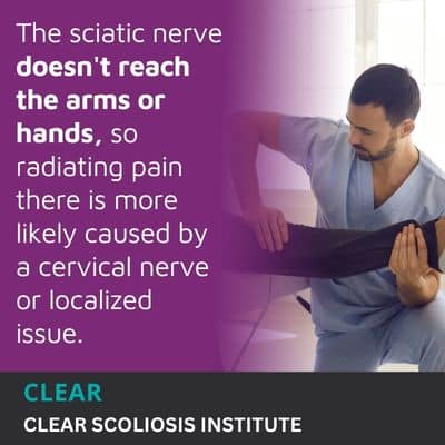 A visual representation of the quote from the text starting with “Because the sciatic nerve doesn't"