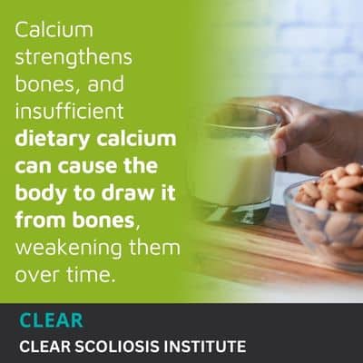A visual representation of the quote from the text starting with “Calcium supports bone health by"