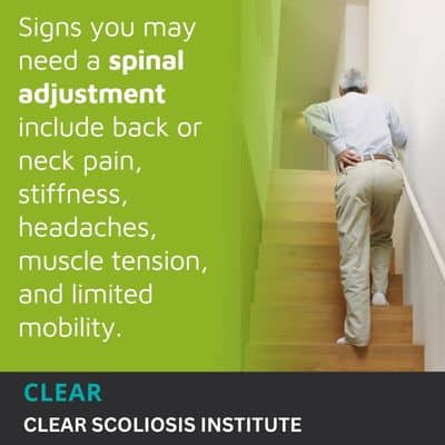 A visual representation of the quote from the text starting with “Early signs you need a spinal"