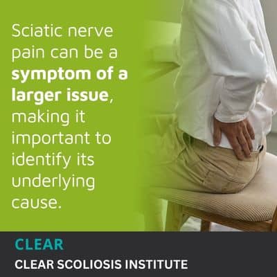 A visual representation of the quote from the text starting with “In many cases, sciatic nerve"